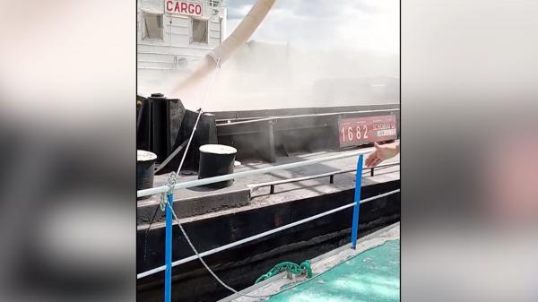 Poluare masivă în portul Brăila. Un depozit de cereale a fost amendat cu 40.000 de mii de lei de către Garda de Mediu