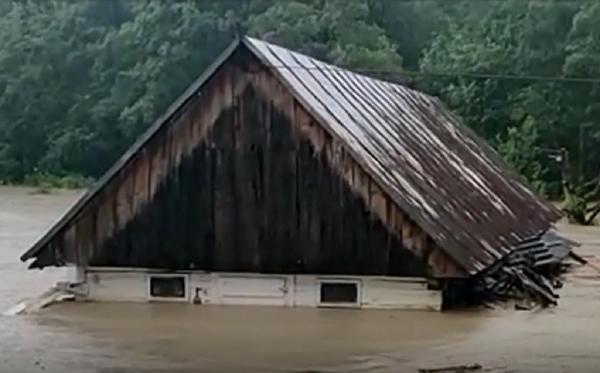 Imagini apocaliptice, după ce vestul României a fost lovit de furtuni violente: "M-am dat înapoi, că altfel mă omorau pomii"