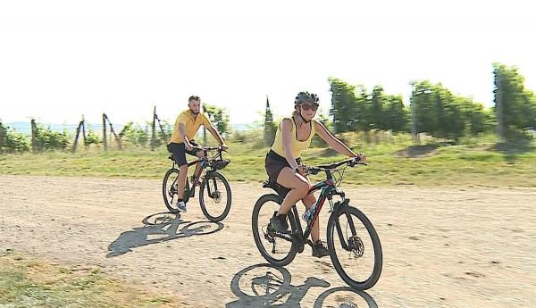 Pe două roţi, în drum spre crame. 30 de kilometri pe bicicletă, în toiul verii, apoi îţi potoleşti setea cu un vin bun