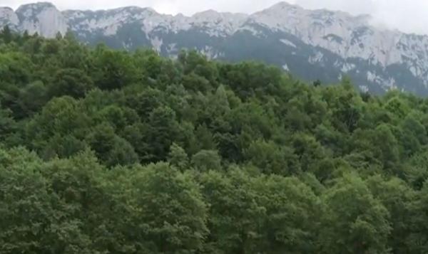 Valea Bârsei, un colţ de Rai din masivul Piatra Craiului ales de toţi mai mulţi turişti pentru relaxare: "Ne bucurăm de fiecare dată"