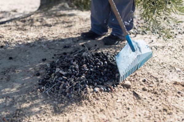 Un bărbat din Tortoman şi-ar fi ucis soţia cu coada de la mătură, apoi a sunat la poliţie să le spună ca a murit în somn