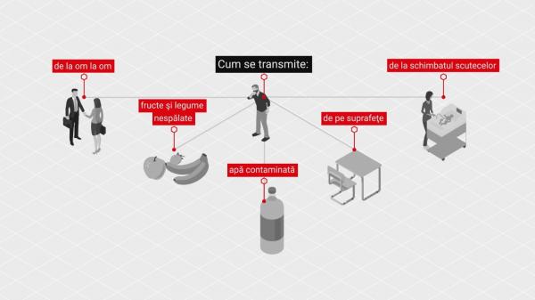 Norovirusul care a provocat sute de cazuri la Râșnov ar putea fi, până la urmă, în apa de la robinet. Cum se transmite