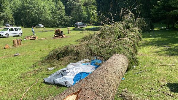 Filmul tragediei din Mureș. Fetița de 6 ani peste care a căzut un copac de câteva tone a murit sub ochii tatălui. Surioara ei e în stare critică