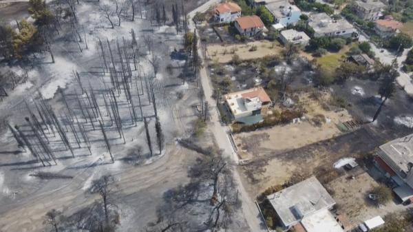 EXCLUSIV E stare de urgenţă în Evia: turiştii, evacuaţi direct de pe plajă. Trei focare sunt de neoprit: imaginile dezastrului filmate de echipa Observator