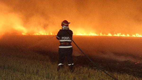 Un incendiu de vegetație a izbucnit la Corbeanca, lângă București