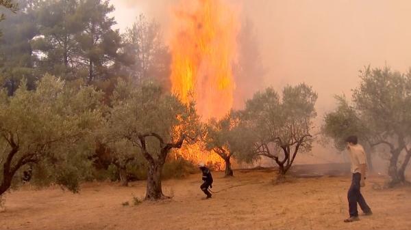 Catastrofă fără precedent pe insula Evia. Pompierii merg din casă în casă la nord de Atena, 99 de noi incendii în Grecia