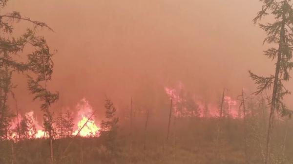 Incendiile au făcut prăpăd şi în Rusia. A fost decretată starea de urgenţă