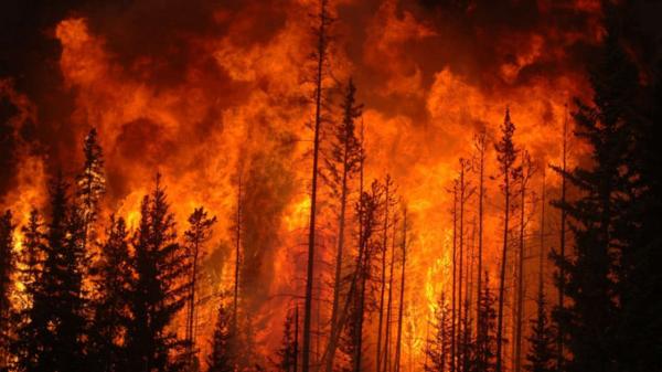 Valul de căldură "Lucifer" a adus temperaturi extreme și incendii devastatoare. 28 de pompieri-eroi au murit înconjurați de flăcări, în Algeria