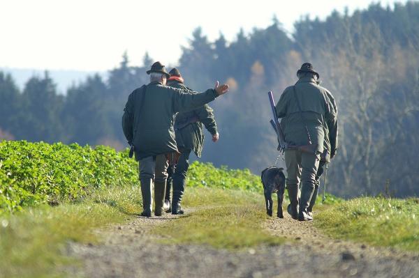 Un bărbat din Vaslui a rămas fără trei degete, după ce a participat la o partidă de vânătoare şi arma i s-a descărcat accidental