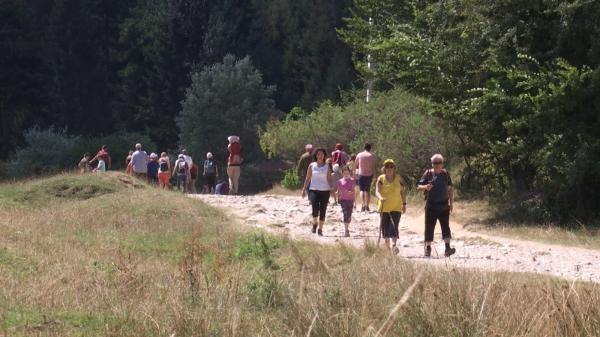 Recomandările specialiştilor pentru a ne feri de întâlnirea cu ursul. Lista lucrurilor pe care trebuie să le avem la noi