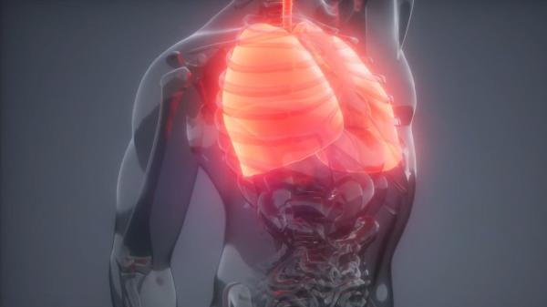 Bolile respiratorii vor deveni a treia cauză a mortalităţii în lume. Unul din nouă români suferă de afecţiuni pulmonare
