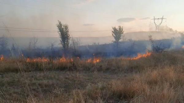 Incendiu de vegetație în apropiere de Drobeta Turnu-Severin. Zeci de hectare au fost mistuite de flăcări