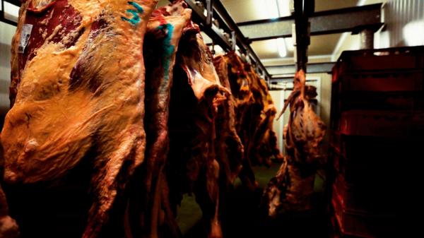 România a ajuns să importe carne de sute de milioane de euro pe an. Distrugerea lanțului de producție e trista realizare a ultimilor 30 de ani