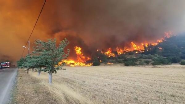 Imagini dramatice de la incendiul izbucnit în zona Vilia, din Grecia. Pompierii români l-au observat și au intervenit de urgență pentru stingerea lui