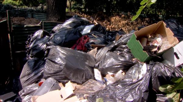 Parcurile din Bucureşti au devenit adevărate focare de infecţie, iar autorităţile nu găsesc soluţii pentru reabilitarea lor: "E îngrozitor. E cea mai mare mizerie pe care am văzut-o"