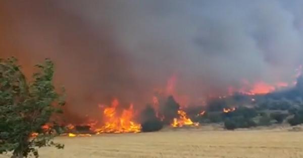 Pompierii români luptă pentru a proteja capitala Greciei de incendiile de vegetaţie: "Din păcate am văzut şi scene neplăcute şi urâte"