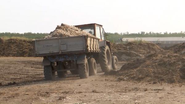 Mormane de ilegalităţi la Galaţi. Fermierii descarcă maldăre de găinaţ la doi paşi de păsările moarte şi îngropate. Autorităţile se contrazic în declaraţii