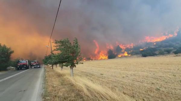 Pompierii români, din nou eroi în Grecia. Au fost chemaţi de urgenţă pentru a stinge un focar uriaş în apropierea Atenei: au venit cu toate cele 8 autospeciale