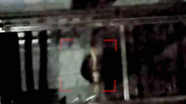 Şobolan filmat în cuptorul unei patiserii din Ploieşti. Patronii au fost amendaţi, iar locaţia închisă pentru renovare. "S-a stricat cuptorul, se înlocuieşte tot"