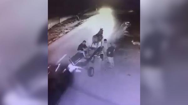 La un pas de tragedie în Teleorman, din cauza unei căruţe nesemnalizate: o maşină a lovit-o în plin. Miraculos, nimeni nu a avut de suferit