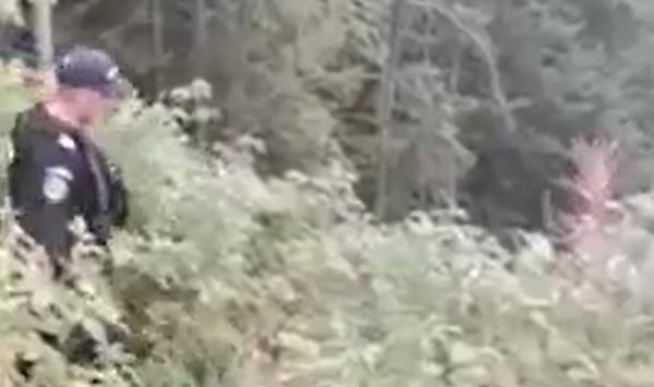 Cei patru agresori, care au bătut doi jurnaliști și un activist, cercetați în libertate