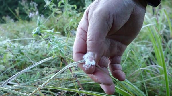 Iarna a pus deja stăpânire pe unele zone din România. Temperaturi negative la Miercurea Ciuc şi ninsori ca-n poveşti în vârf de munte