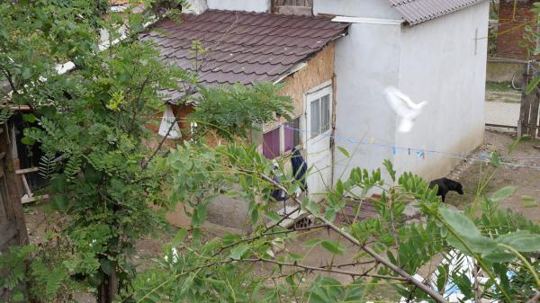 Băiețel de 10 ani, ademenit și batjocorit de un vecin în șopronul casei. Oroare într-un sat din Alba