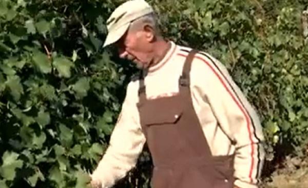 ''Om trecut prin multe, îmi vine să plâng.'' Odinioară raiul viticultorilor, oamenii dintr-o localitate din Gorj au rămas doar cu amintirile