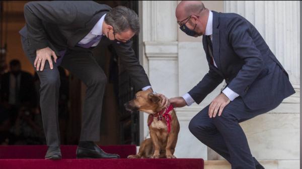 Căţelul premierului elen a atras toate privirile. Peanut a vrut să-şi facă simţită prezenţa în timpul unei conferinţe de presă