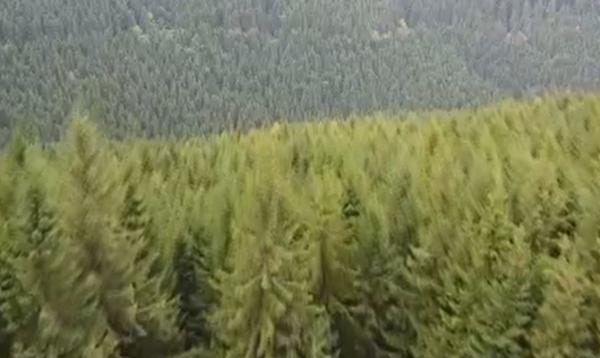 Pandemia a schimbat obiceiurile turistice ale românilor: La plimbare în mijlocul naturii