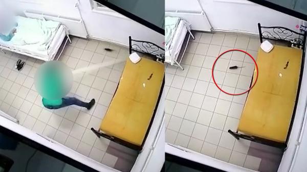 Imagini filmate într-un spital din România: un infirmier, înarmat cu un suport pentru perfuzii, "vânează" un şobolan care venise în "vizită" la un pacient. Verificări DSP