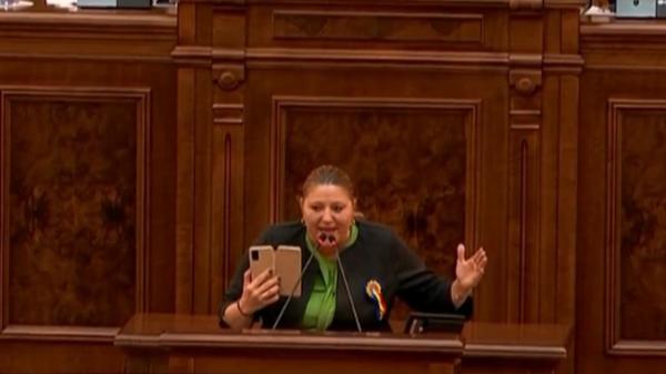 Diana Şoşoacă a făcut circ în Senat, a cerut să fie scoasă afară în brațe: ”Numai evreii trebuiau să arate un document ca să meargă la alimentară”