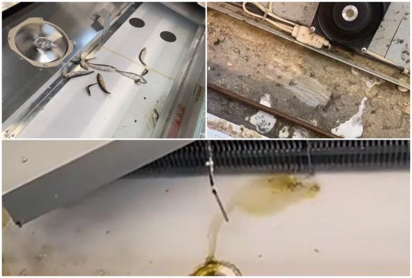 Insecte moarte, mucegai şi produse expirate în vitrinele cu alimente în 4 hypermarket-uri din Capitală. Reacția clienților: "Tot la ei apelez"