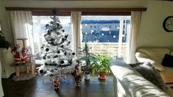 Brad de Crăciun în mijlocul toamnei. Unii oameni nu mai ţin cont de data din calendar şi s-au apucat să-şi împodobească casele