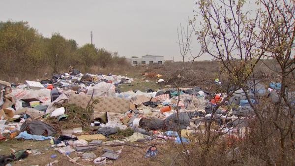 Munţi de gunoi, pe câmp din Mogoşoaia. Chiar angajaţii primăriei aruncă deşeurile: "Nu mai e loc în staţia de sortare. Câte o cadă, câte o saltea"