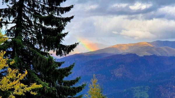 Schimbările bruşte de temperatură ne pot afecta sănătatea. În unele zone, a fost cel mai cald 4 noiembrie din ultimii 60 de ani