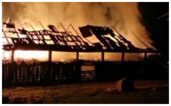 Adăpost de animale mistuit de flăcări, la Bistrița. Peste 250 de oi, vaci şi păsări au fost salvate