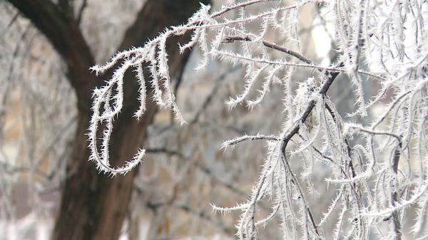 Vremea se schimbă drastic. Frigul pune stăpânire pe întreaga ţară: Ploi în mai toate regiunile, iar pe creste vor fi ninsori viscolite