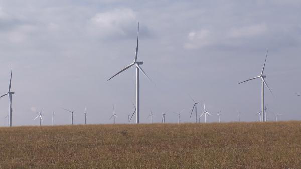 Casele verzi mai scumpe cu 30% decât cele clasice. Cum se amortizează însă investiţiile