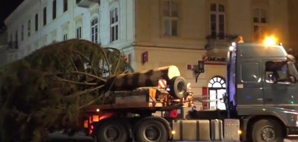 Reacția unei turiste din SUA când a văzut bradul uriaș de Crăciun din Brașov: Nu am mai văzut aşa ceva. Sunt sigură că cei din San Francisco sunt falşi