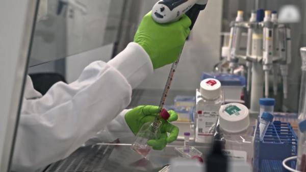 Ce știm și ce nu știm încă despre Omicron. Cât de eficient este vaccinul în cazul noii variante de Covid