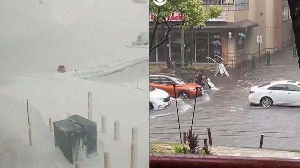 Fenomene meteo extreme în SUA: În Hawaii e stare de urgenţă din cauza ninsorilor, iar în Minnesota, gerul a îngheţat şoselele