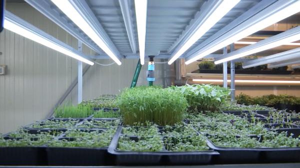 Afacerea unor români rămaşi fără loc de muncă. Le-a adus succes dupa ce au lucrat 17 ani în HORECA