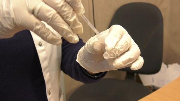 Testele de salivă iar nu au ajuns la timp în şcoli. Explicațiile autorităților