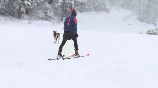Distracţia pe pârtiile din Poiana Braşov, mai scumpă cu 100 de lei. Turist: "La un moment dat oricum o să fim arşi, cam asta e ţara în care trăim"