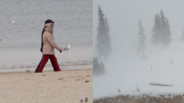 Haos pe şosele din cauza ninsorii. Şoferii dau testul răbdării pe drumurile transformate în pationar