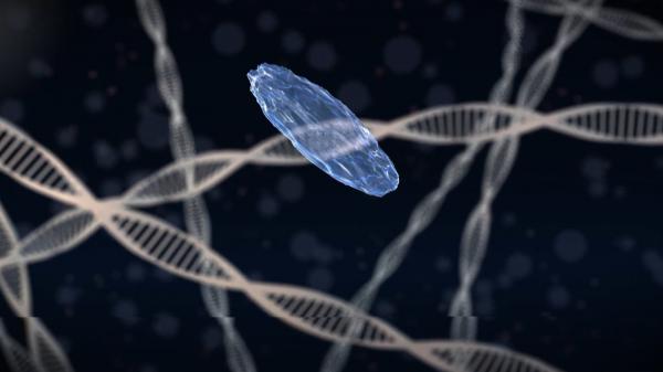 Descoperire revoluţionară în tratarea cancerului. O anumită substanţă chimică din celula umană inhibă dezvoltarea tumorii şi chiar metastaza