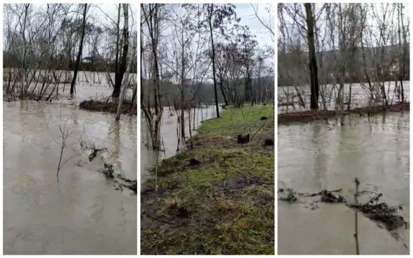 Râul Tisa a ieșit din matcă, aproape de gospodăriile din Lunca la Tisa. Avertisment de la hidrologi