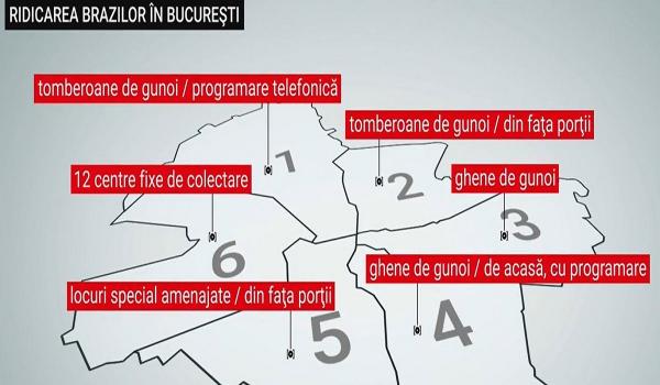 Unde putem arunca brazii de Crăciun? În Capitală, pomii au fost abandonați la colțurile blocurilor