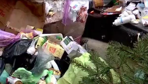 Orașul Baia Mare, sufocat de gunoaie. Municipalitatea amendată de două ori pentru locul depozitării